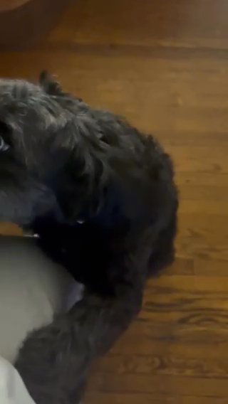 Honey Love in Philadelphia, Pennsylvania