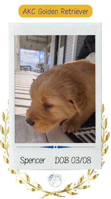Spencer in Goshen, Indiana