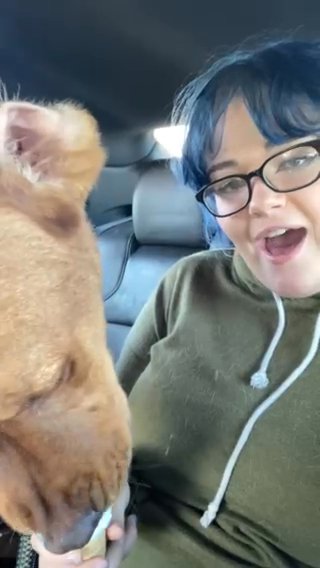 Rescue Dog Looking For Good Home in Youngstown, Ohio