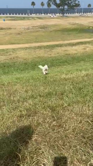 Brody Blanco in New Orleans, Louisiana