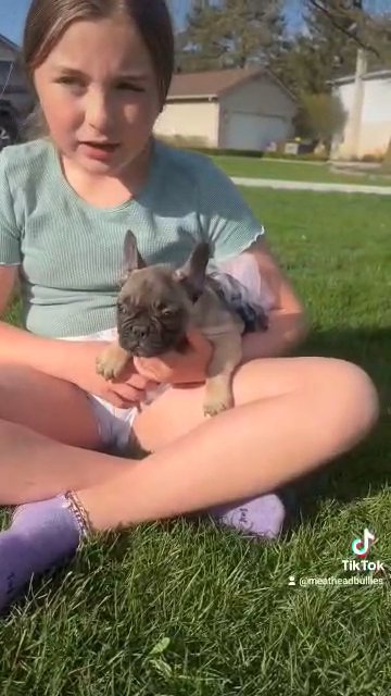 females left frenchy in Washington, Michigan