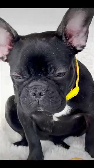 Rubi Beautiful Black Female in Fort Lauderdale, Florida