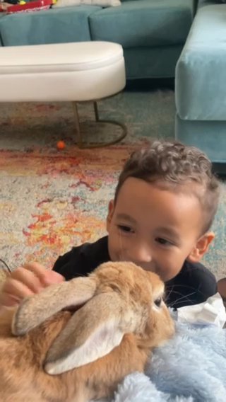 bunny good with kids in Azusa, California