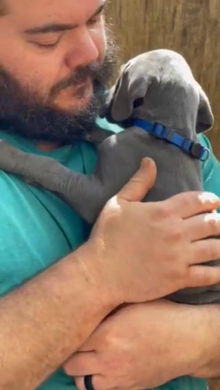 Blue Color Blue Female High Euro Female in Greenville, South Carolina
