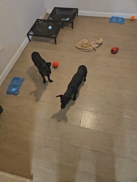 Twinz in Reno, Nevada