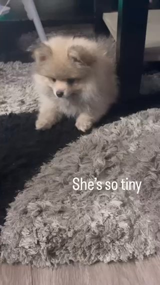 Gia in Hesperia, California