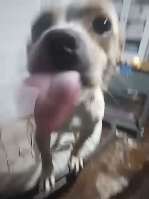 tucker in Shawnee, Oklahoma