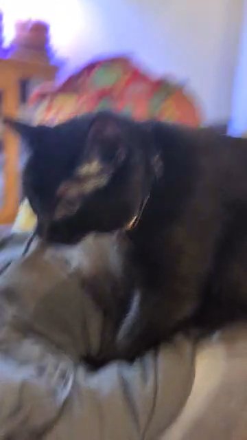 Athena in Omaha, Nebraska