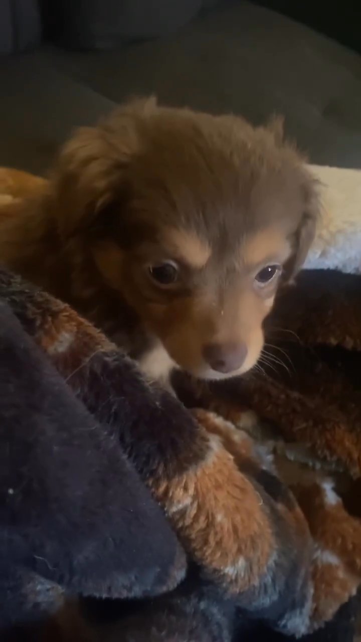 cute in Moreno Valley, California
