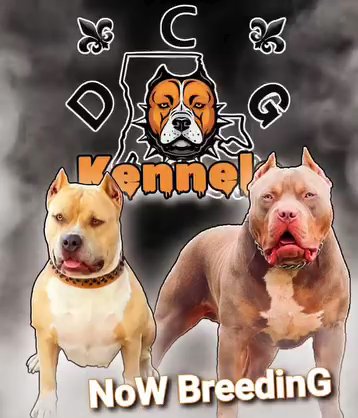 pups are here! in Slidell, Louisiana