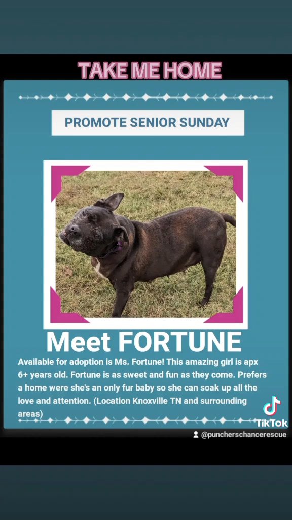 Meet fortune in Knoxville, Tennessee