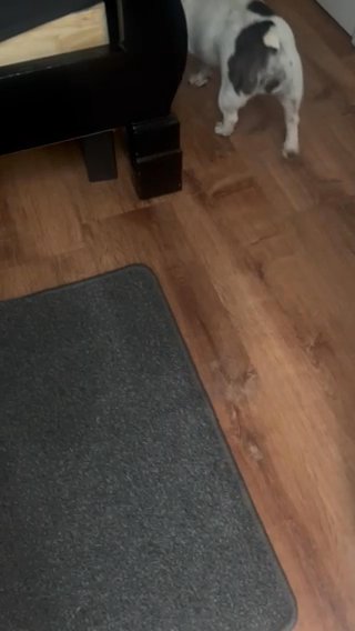 Coco in El Monte, California