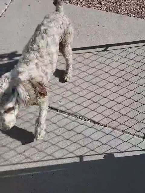sugar in Cheyenne, Wyoming