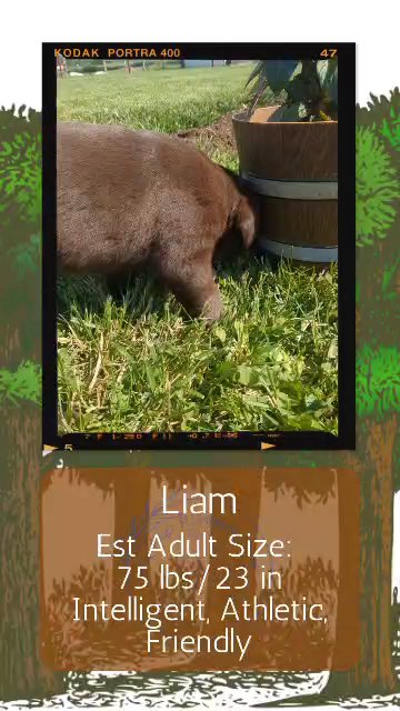 Liam in Goshen, Indiana