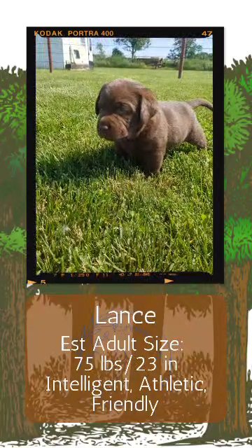 Lance in Goshen, Indiana