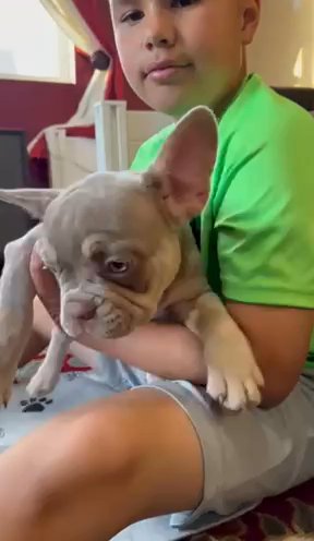 New Shade Isabella! in Yakima, Washington