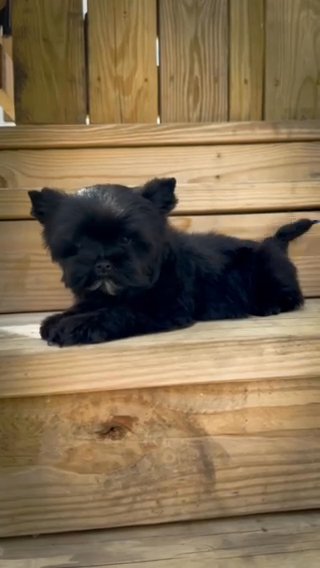 Jax in Jackson, Tennessee