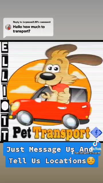 Pet Transporter in Lima, Ohio