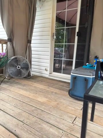 Labradoodle in Cambridge, Maryland