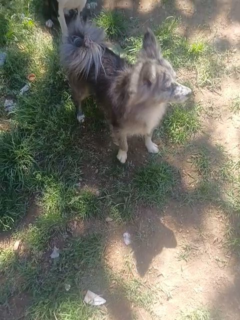 Vera in Anniston, Alabama
