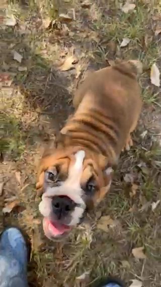 Channing in Lakeland, Florida