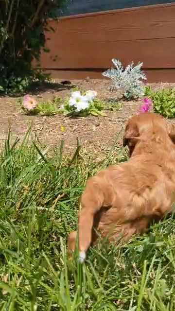 Kip in Goshen, Indiana