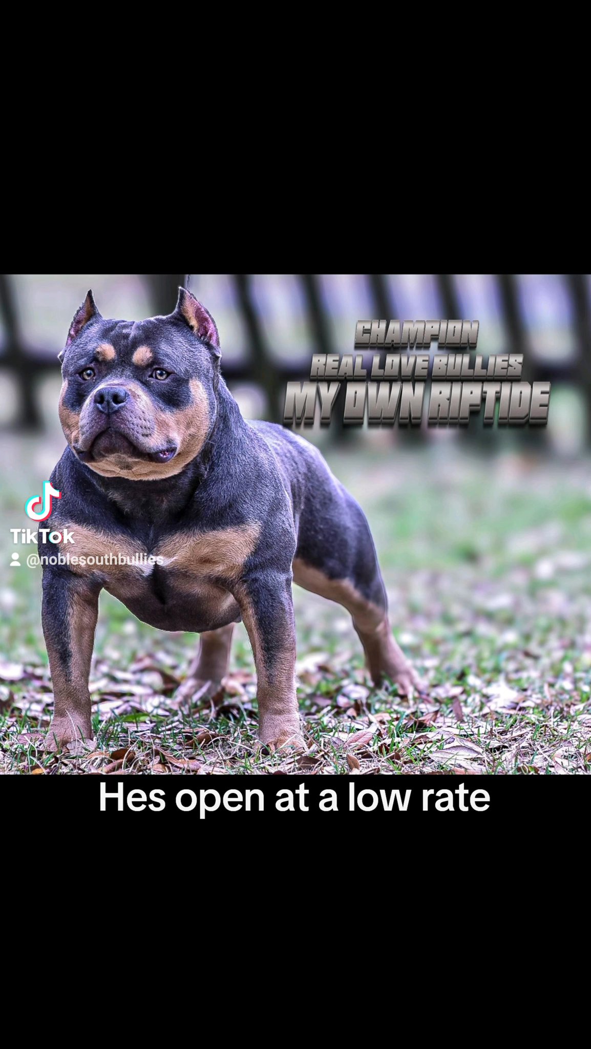 Open for Stud in Picayune, Mississippi