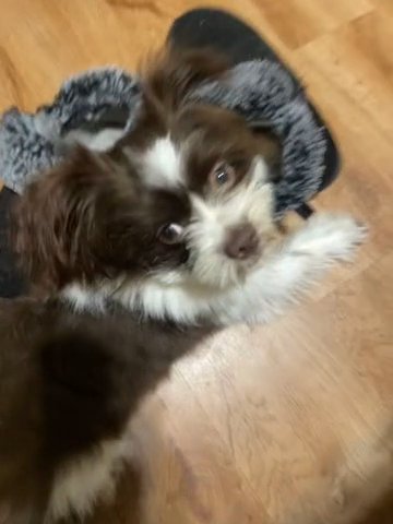 Winnie in Lafayette, Louisiana
