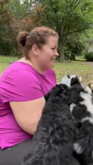 Standard Poodle Puppies in Jacksonville, North Carolina