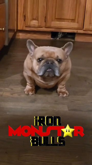 Ironbulls Monstar in Chicago, Illinois