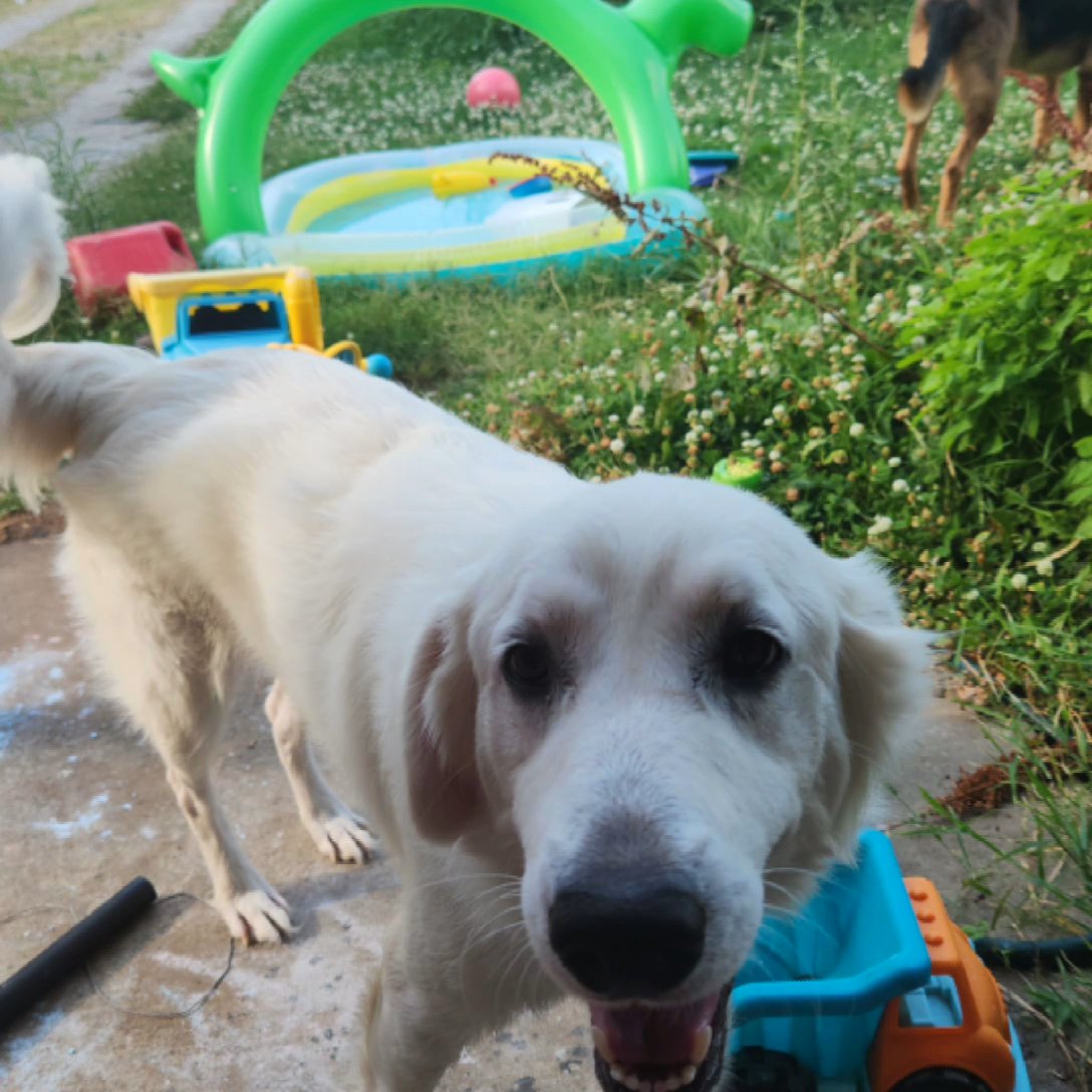 Nova in Owasso, Oklahoma