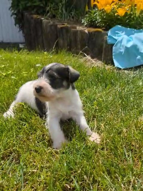 Kayla in Goshen, Indiana