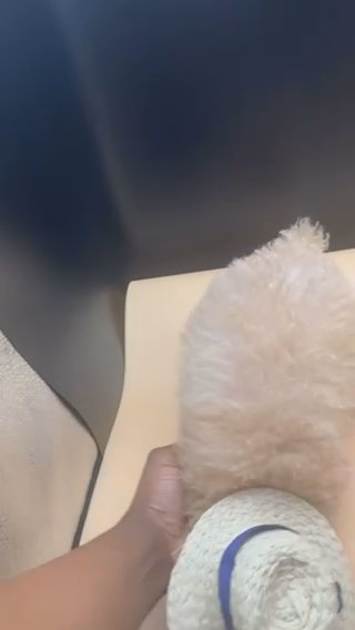 Beignet in Tucker, Georgia