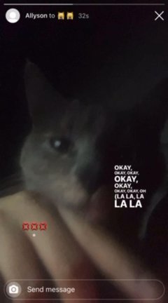 FREE GREY CAT / FEMALE in Riverdale, Georgia