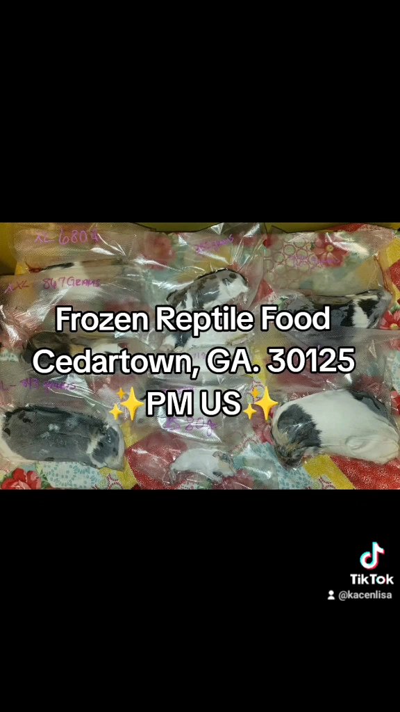 Reptile Food--Frozen Stock in Rome, Georgia