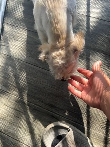 She Playful And Kind in Moreno Valley, California