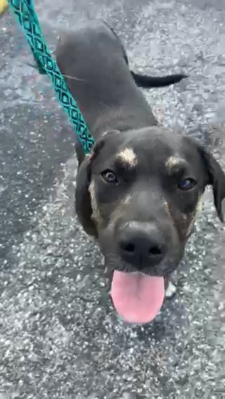 Runtz Going On A Walk in Orlando, Florida