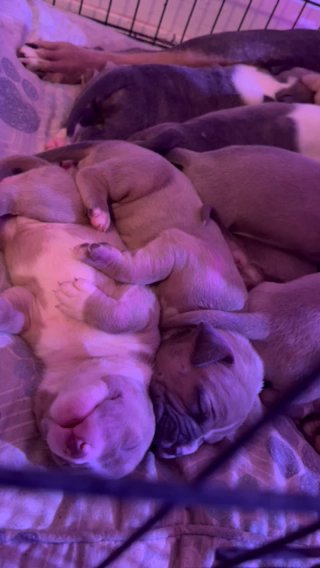 Sleeping in Phoenix, Arizona