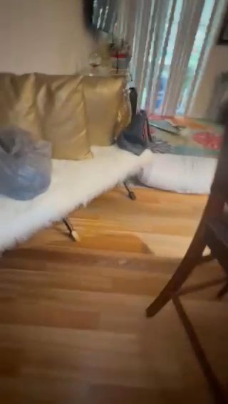 Milo Up For Sale! in Boca Raton, Florida