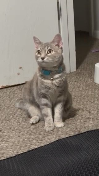 Luna in Fairborn, Ohio
