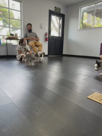 Reeses in Los Angeles, California