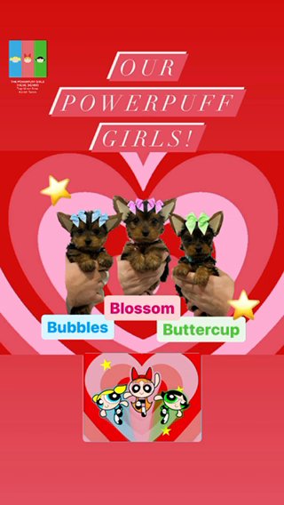Powerpuff girls! in Surprise, Arizona