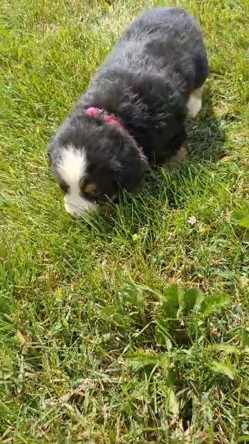 Bridget in Goshen, Indiana