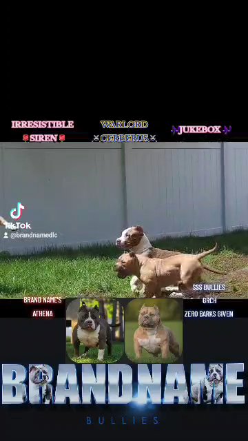 Cerberus in Wausau, Wisconsin