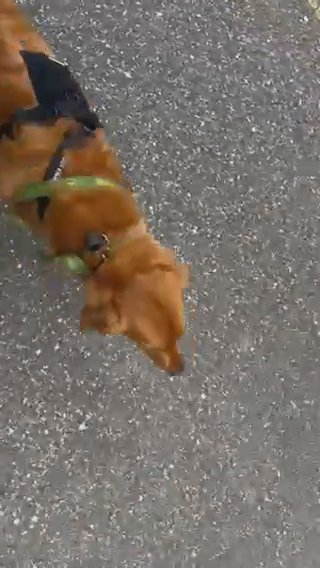 Ruddy in Jacksonville, Florida