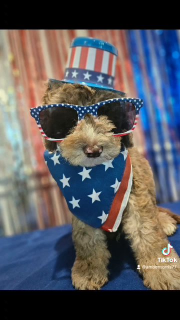 You look like the 4th of July!!!! in Augusta, Georgia