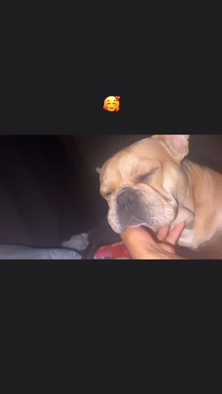 Frenchy in Colton, California