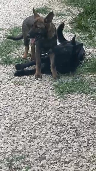 Jazzy/mark in Richmond, Kentucky