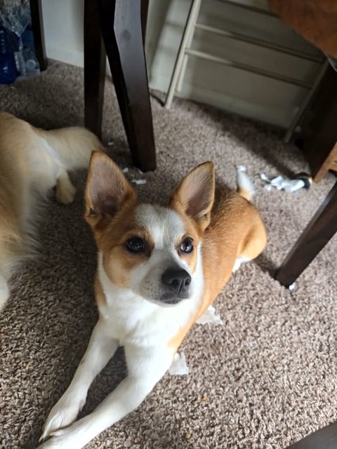 Princess in Columbus, Ohio