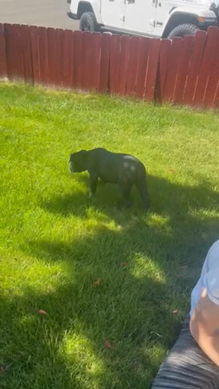 Black Female in Nampa, Idaho